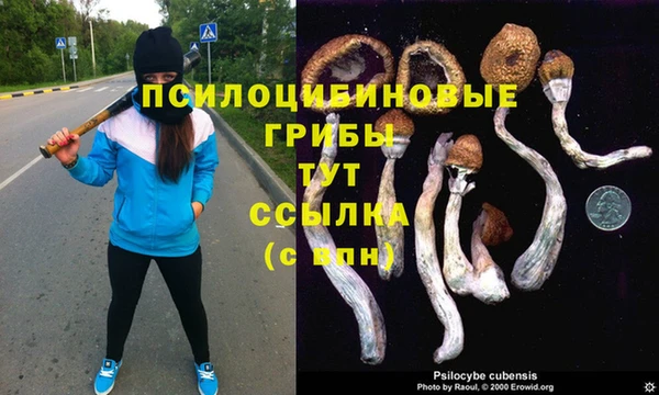 хмурый Алзамай