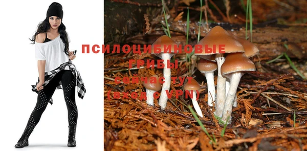 бутират Алексеевка