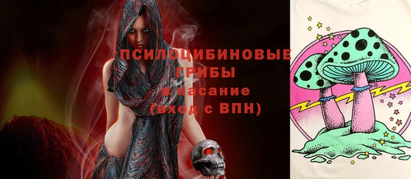 хмурый Алзамай