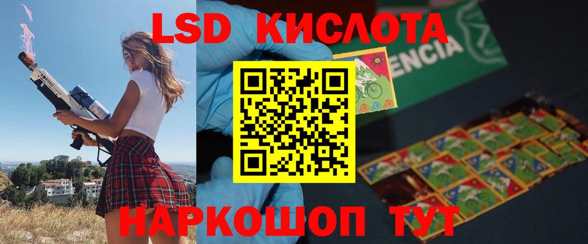 Новоалександровск  ЛСД экстази кислота  мега вход  LSD-25 экстази кислота  Вход с VPN 