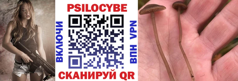 Галлюциногенные грибы GOLDEN TEACHER  Новоалександровск 