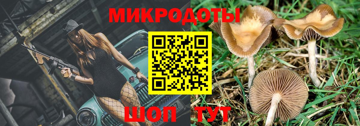 Псилоцибиновые грибы прущие грибы Новоалександровск