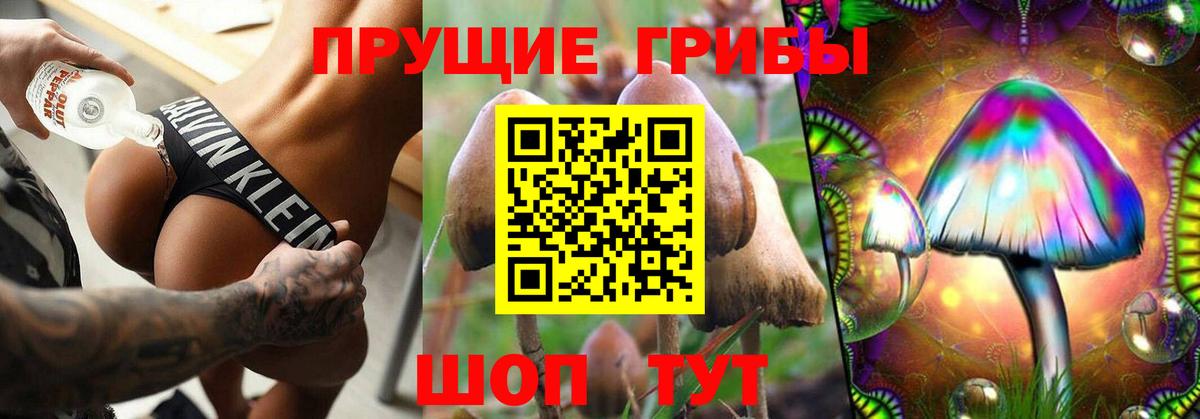 Новоалександровск  Галлюциногенные грибы Magic Shrooms  Вход с VPN 